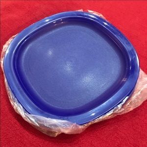 Tupperware Luncheon plates! Set of 4